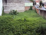 02- TERRENO